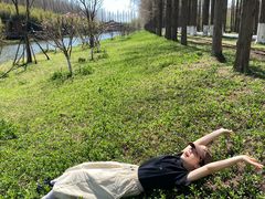 -黄海国家森林公园