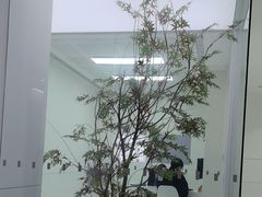 -极简口腔(总院)