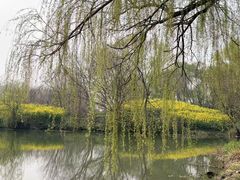 -梁鸿国家湿地公园