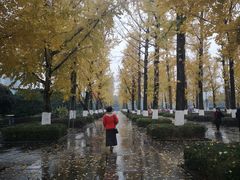 -百林公园-两江幸福广场