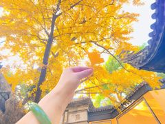 -无锡惠山寺