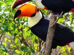 -泉州海丝野生动物世界