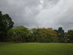 -中国科学院西双版纳热带植物园