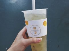 -树夏(建设路店)