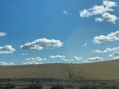 -诺敏塔拉奶茶-布里亚特包子-手把肉(锦都会店)