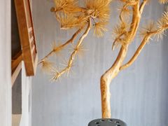 -春熙台韩国料理·章鱼肥牛(西丽店)