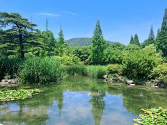 -习家池