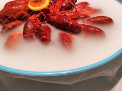 -杨氏青龙虾·羊蝎子(托乐嘉店)