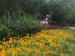 -永定河休闲森林公园