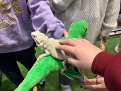 -FAIRYLAND龙族星球主题餐厅(凯丹广场店)