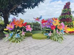 -芽庄珍珠岛游乐园