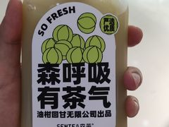 -森茶(湛江万达店)