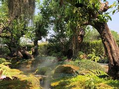 -Chom Cafe and Restaurant