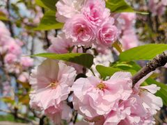 -重庆彩云湖湿地公园