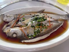 清蒸大白鱼-丹水桥地锅鱼·翘嘴鲌·地方特色全鱼宴(丹江口大坝店)