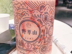 -野萃山·潮汕厚果汁(十亩地店)