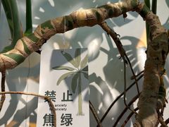 -109 COFFEE(建筑学院店)