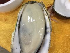 -蚝专家(北滘店)