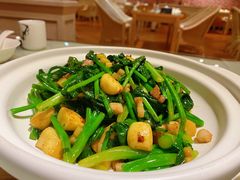 -朝郡酒家·粤菜(燕大星苑店)