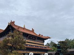 -大召无量寺