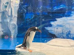 -太平洋海底世界