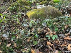 -东天目山风景区