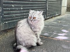 -上海市东方公证处