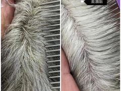 -芭比堂动物医院(广州爱宠下渡路分院)