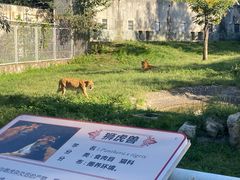 -西安秦岭野生动物园
