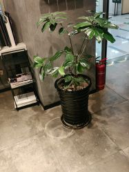 -时尚殿堂明星门店