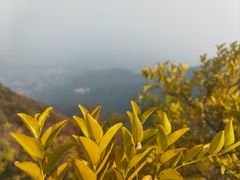 -香山公园