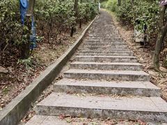-桃花岭景区