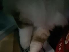 -白兔子密室(长寿路店)