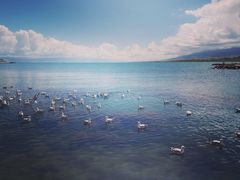 -青海湖国家重点风景名胜区