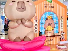 -深圳龙华星河COCO City(民治店)