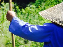 -九曲溪竹筏码头