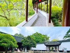 -上海醉白池公园
