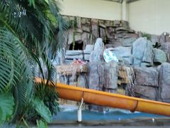 -中家鑫园温泉酒店鑫悦汤泉