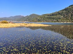 -腾冲北海湿地