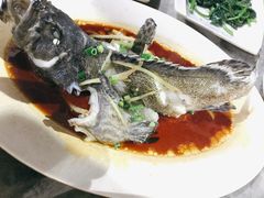 石斑鱼清蒸-四川小胡子海鲜(丁村万人海鲜广场店)