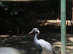 -青藏高原野生动物园