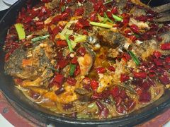 -老板恋上鱼(高新万达店)