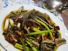 火把黄鳝-春涛餐馆(下坝店)