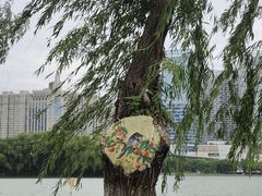 -天鹅湖体育公园