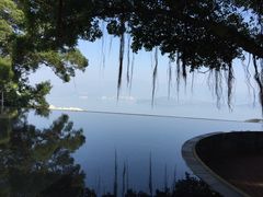 -大埔公路-马料水段香港中文大学(公交站)