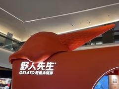 -野人先生现做冰淇淋(北京王府井东方新天地店)