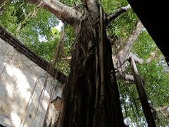 -文儒九号·闽菜馆(三坊七巷店)