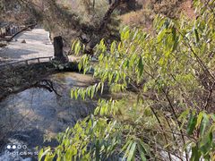 -黑龙潭公园