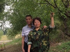 -梁鸿国家湿地公园