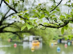 -上海共青森林公园